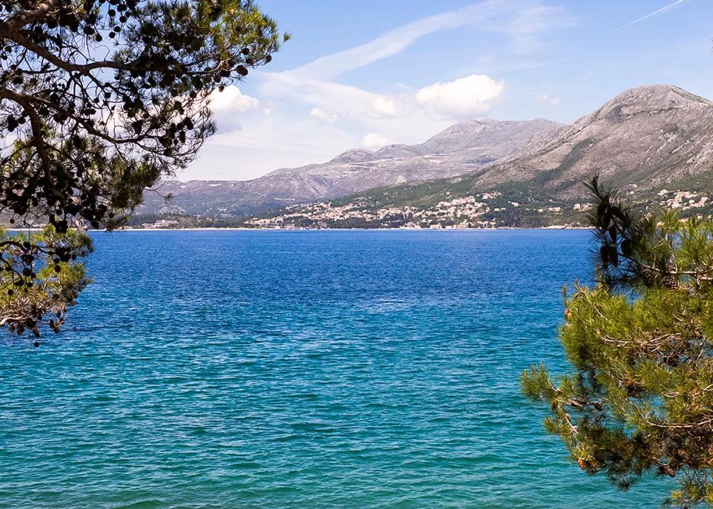 דירות Cavtat - Panoramic Sea View מראה חיצוני תמונה