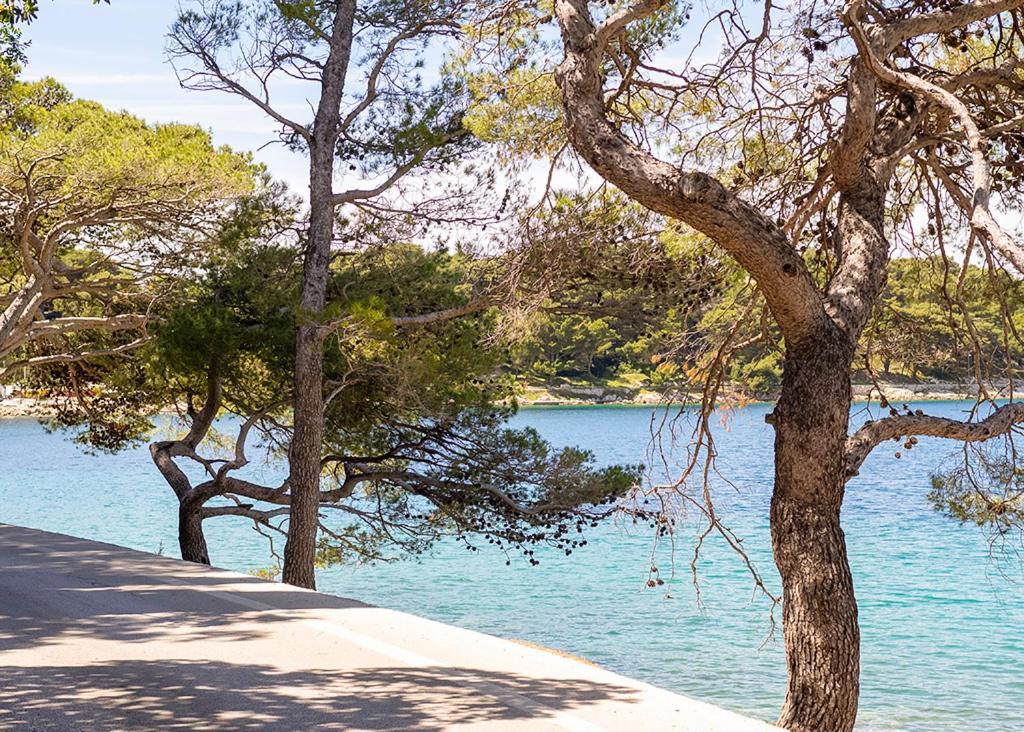 דירות Cavtat - Panoramic Sea View מראה חיצוני תמונה